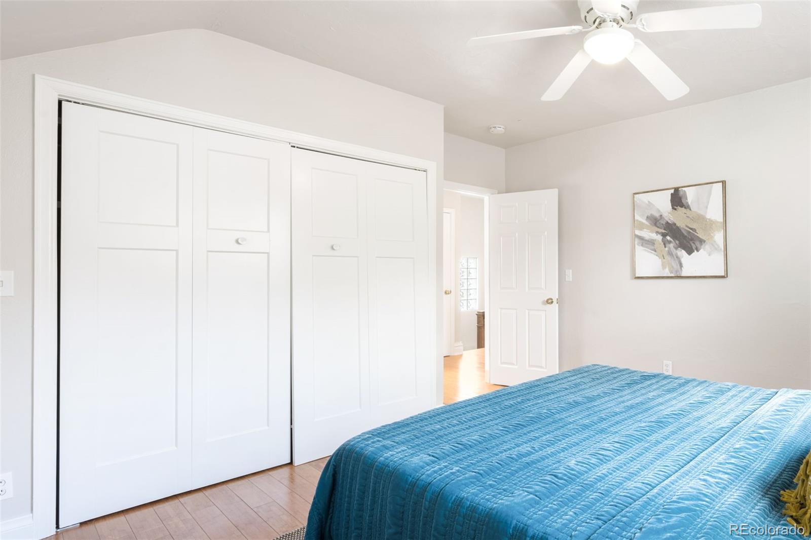 MLS Image #21 for 1131  milwaukee street,denver, Colorado