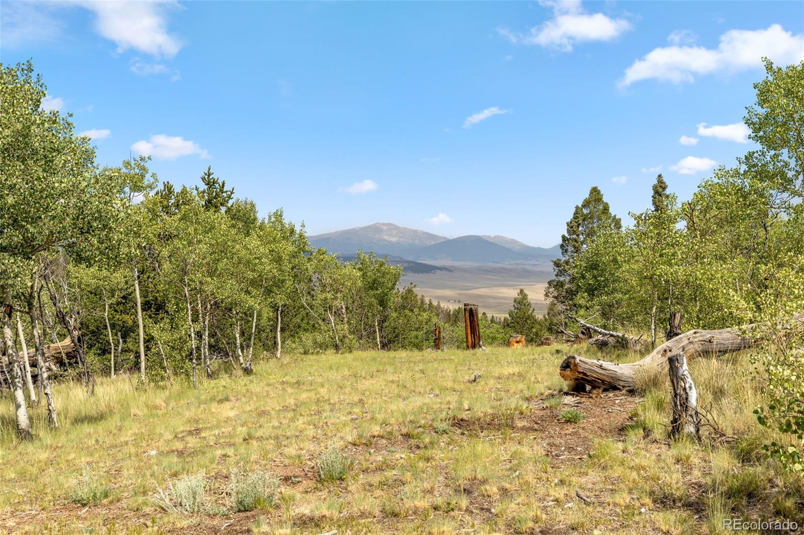 MLS Image #33 for 35  starling way,como, Colorado