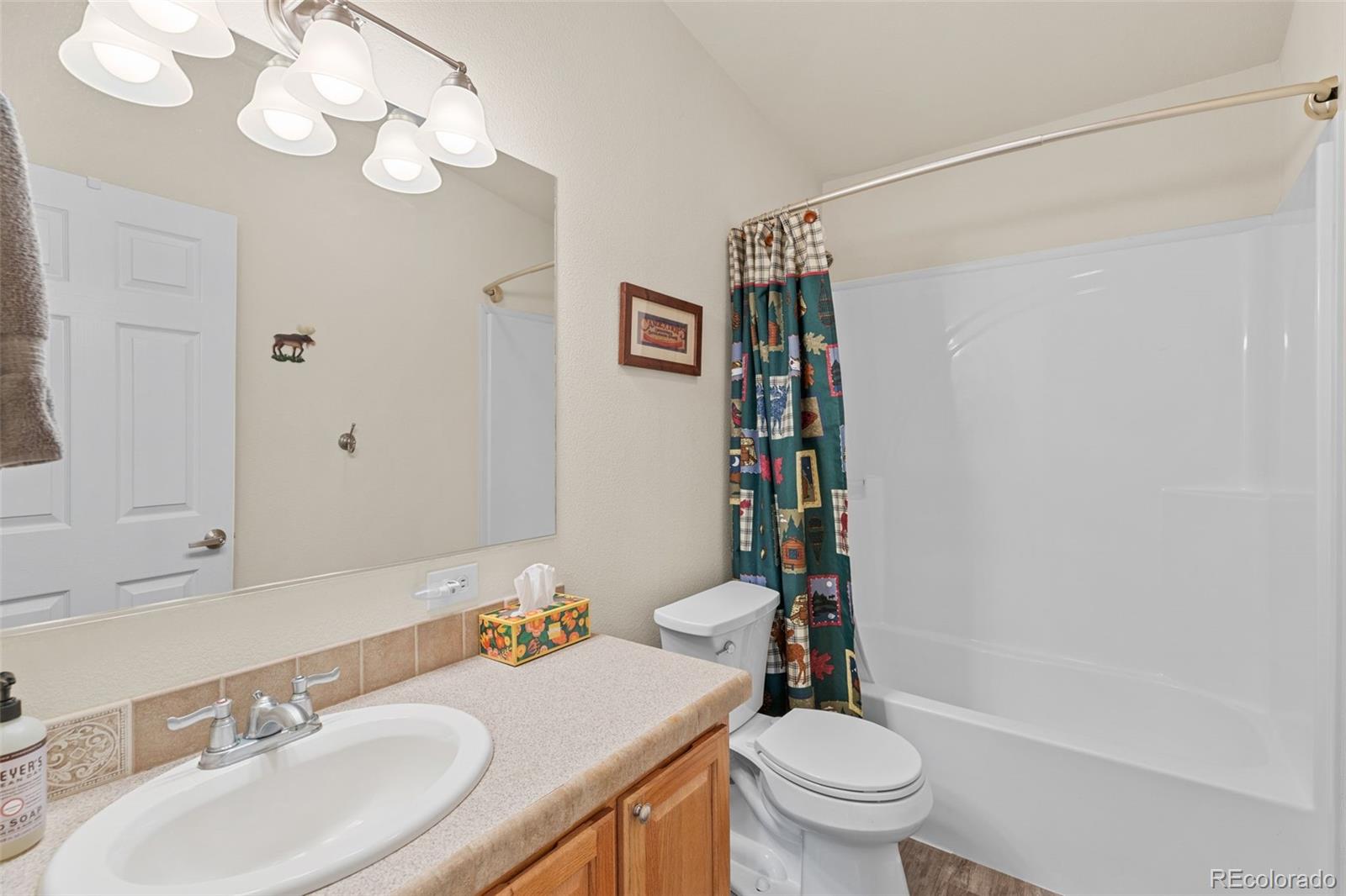 MLS Image #41 for 35  starling way,como, Colorado
