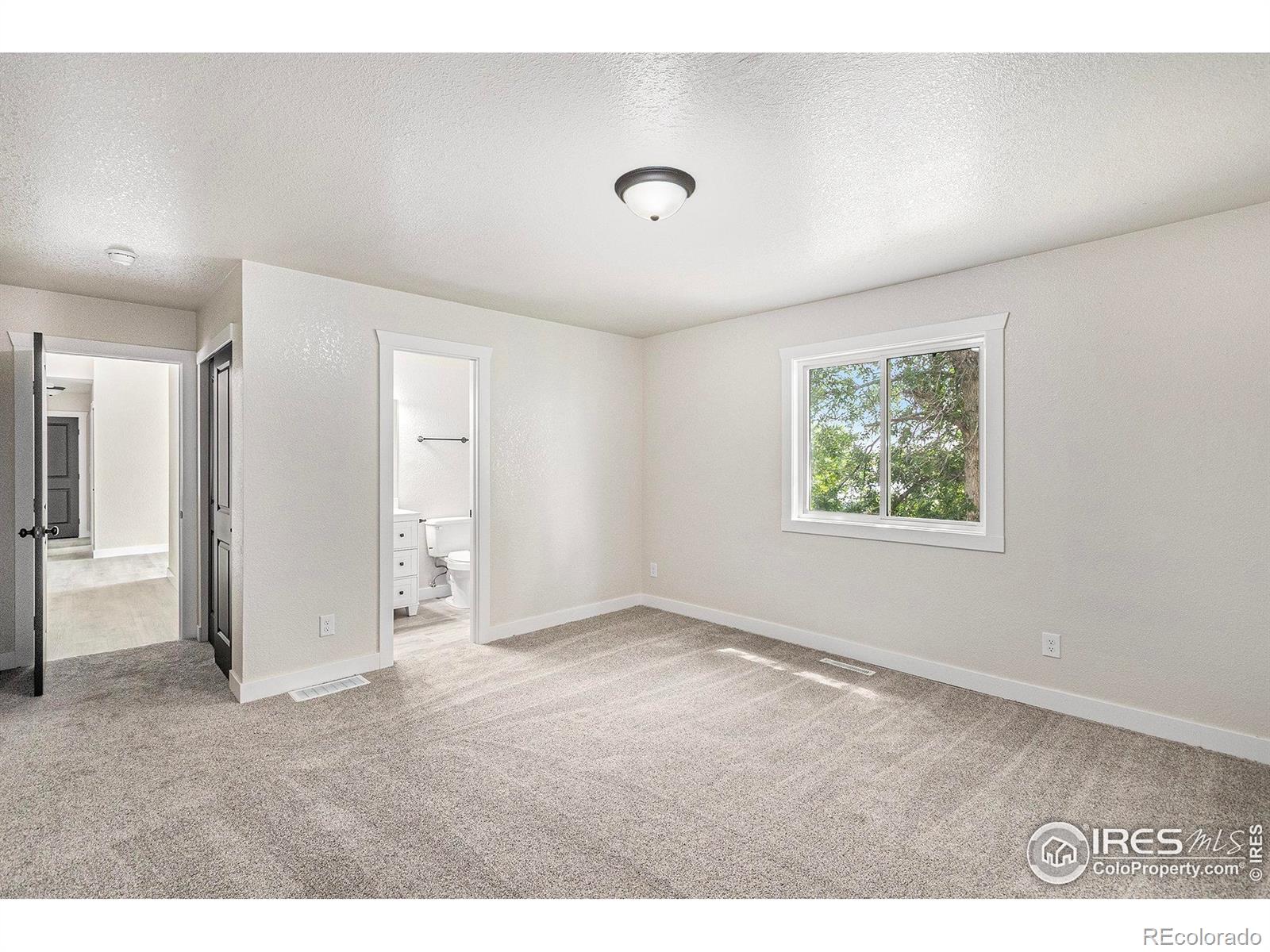 MLS Image #7 for 4386  suncreek drive,loveland, Colorado