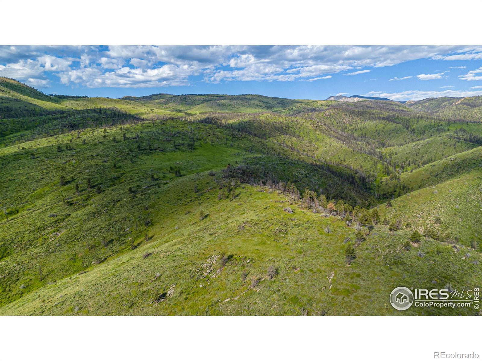 MLS Image #4 for    ,, Colorado
