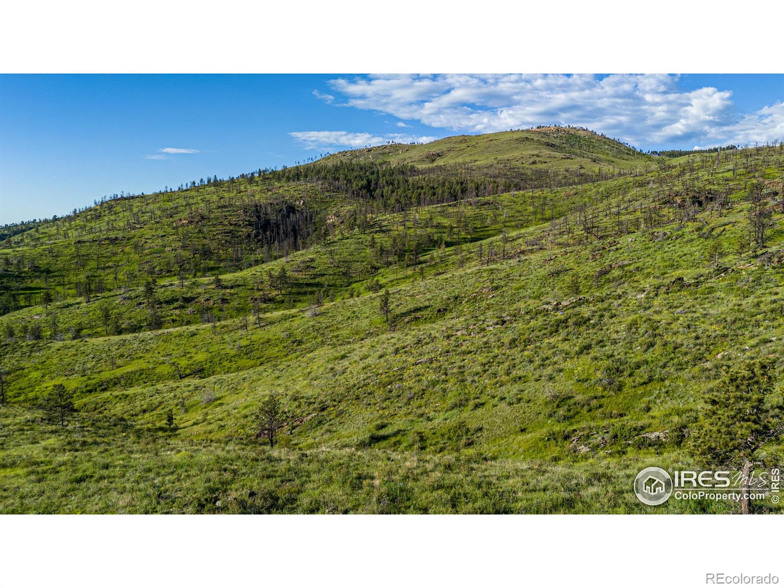 MLS Image #8 for    ,, Colorado