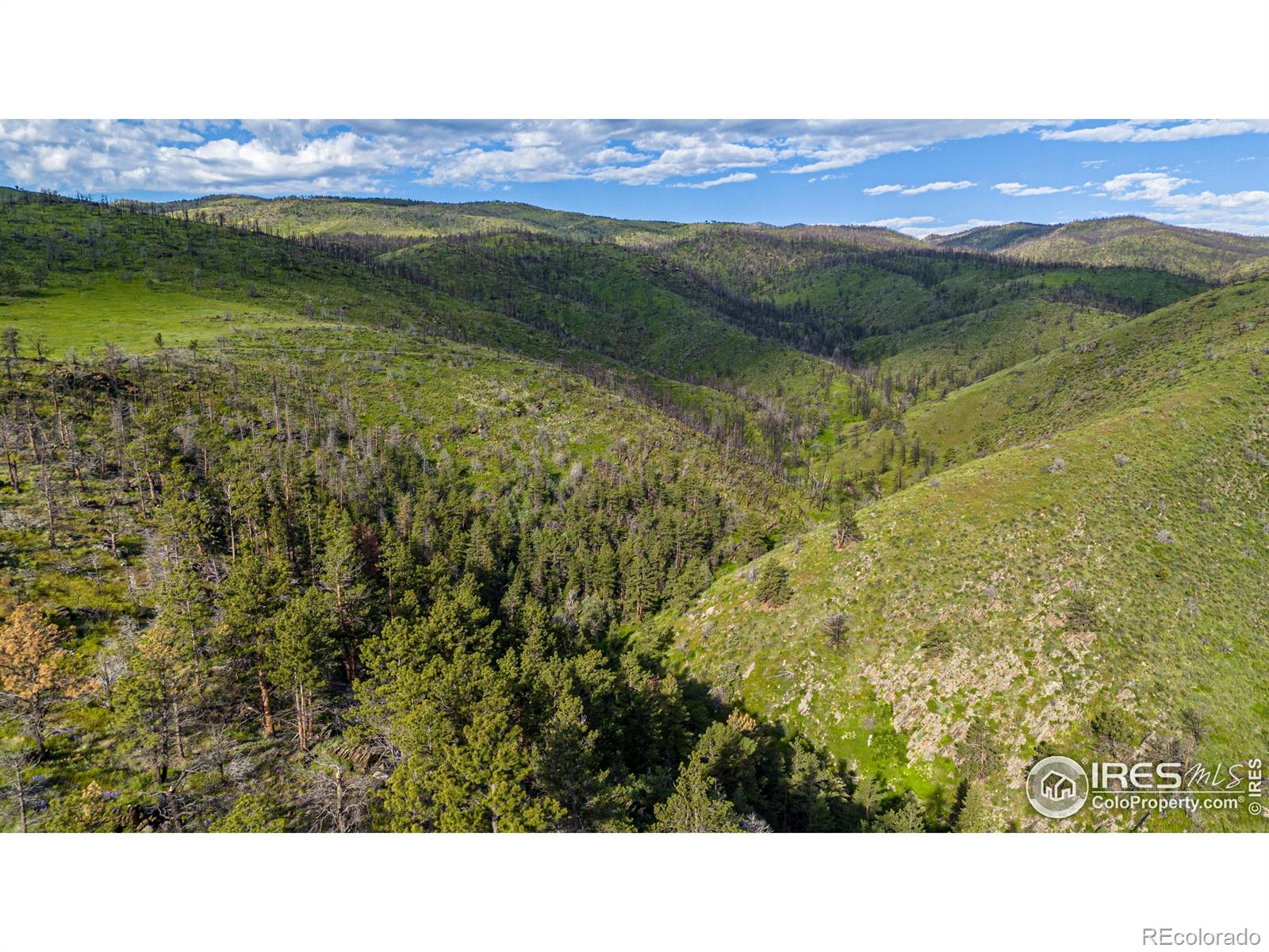 MLS Image #9 for    ,, Colorado