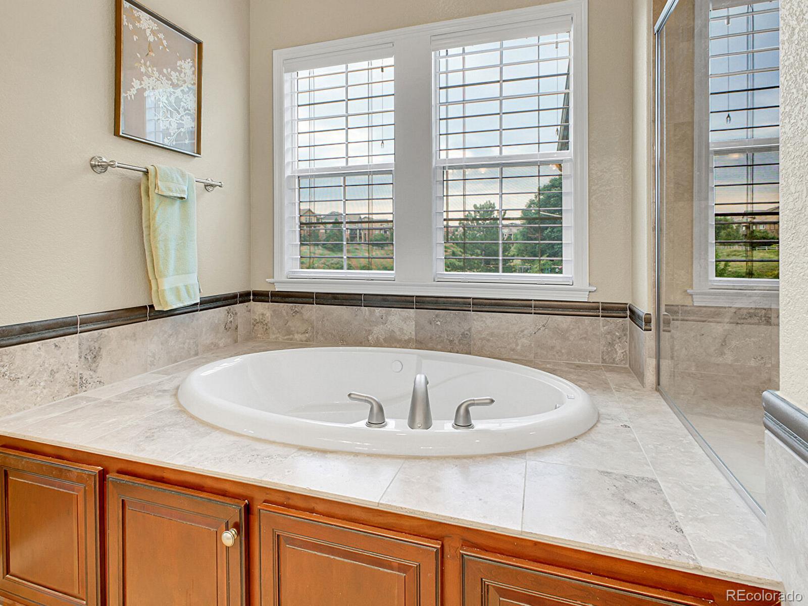 MLS Image #10 for 10432  willowwisp way,highlands ranch, Colorado