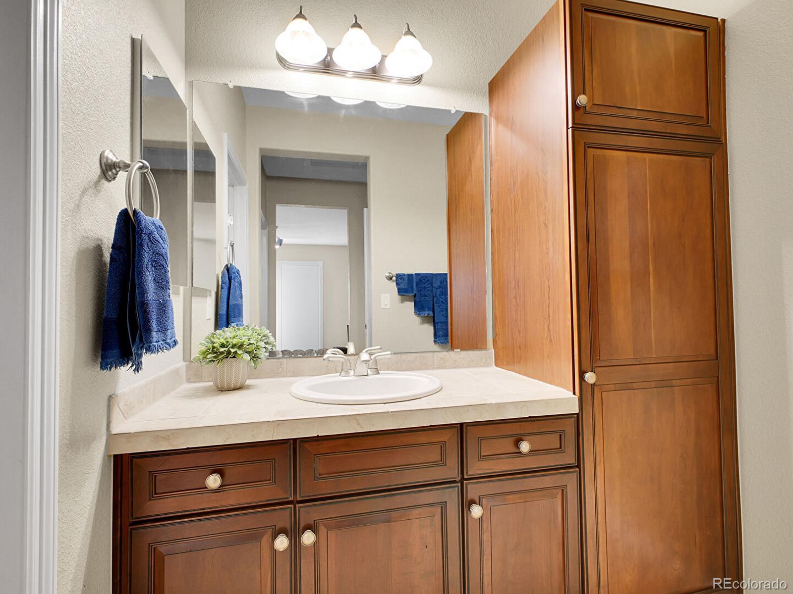 MLS Image #30 for 10432  willowwisp way,highlands ranch, Colorado