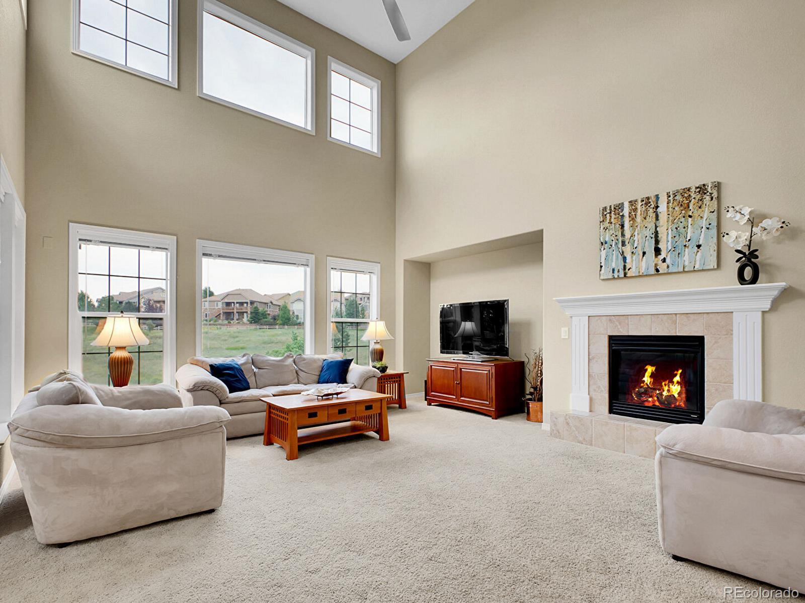 MLS Image #4 for 10432  willowwisp way,highlands ranch, Colorado