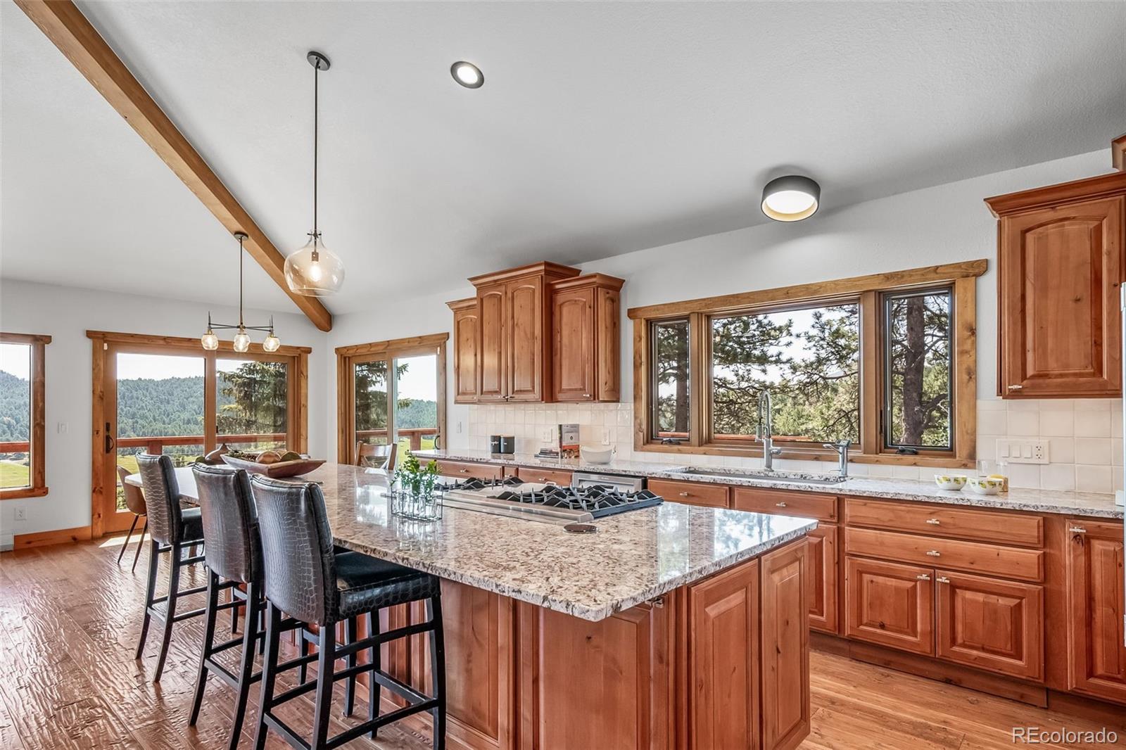 MLS Image #22 for 6519  jungfrau way,evergreen, Colorado