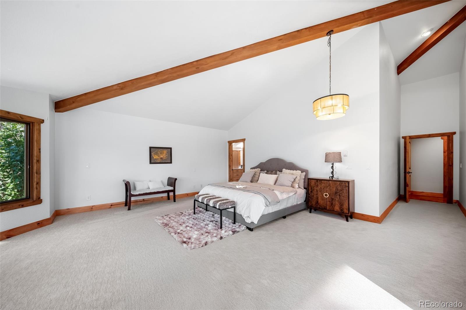 MLS Image #29 for 6519  jungfrau way,evergreen, Colorado