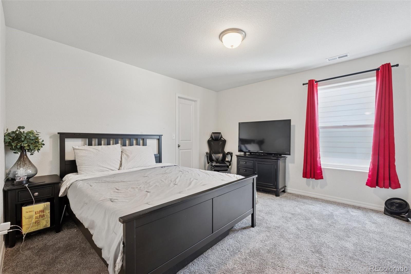 MLS Image #20 for 11357  esperanza way,fountain, Colorado