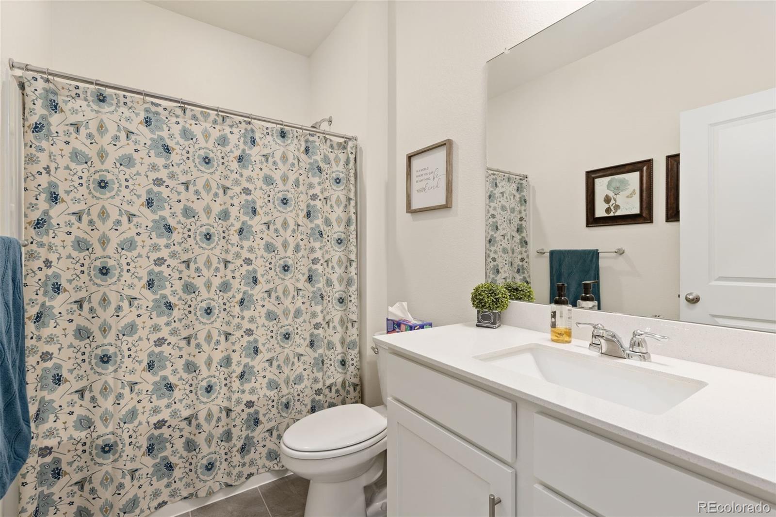 MLS Image #4 for 2411  pinzgauer street,mead, Colorado