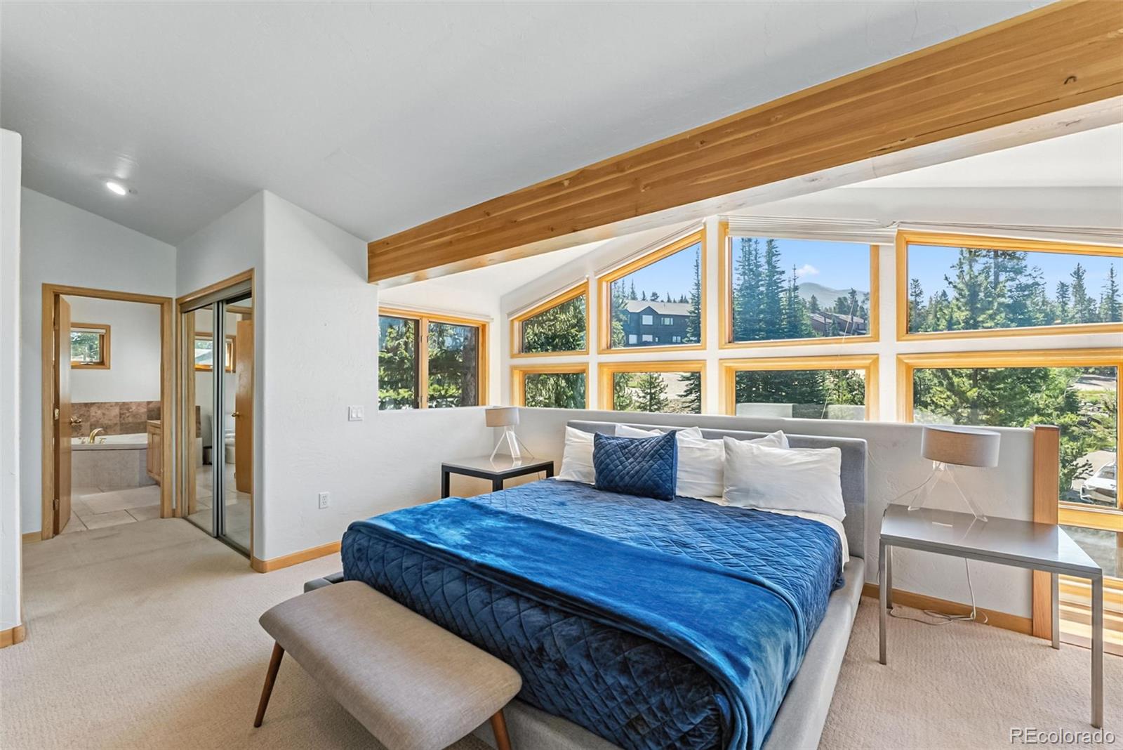 MLS Image #28 for 14  dunkin drive,breckenridge, Colorado