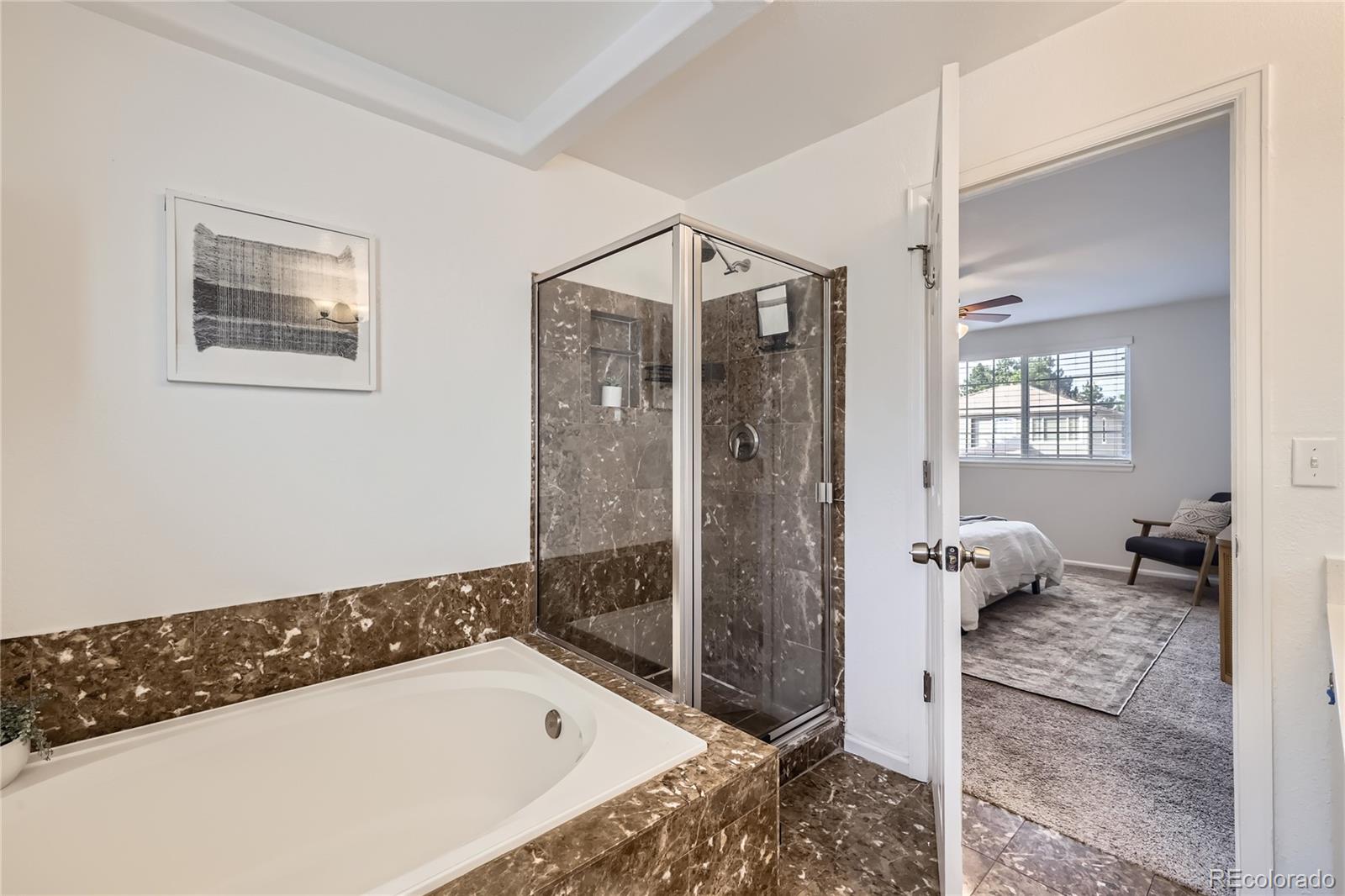 MLS Image #14 for 1552  spring water place,highlands ranch, Colorado