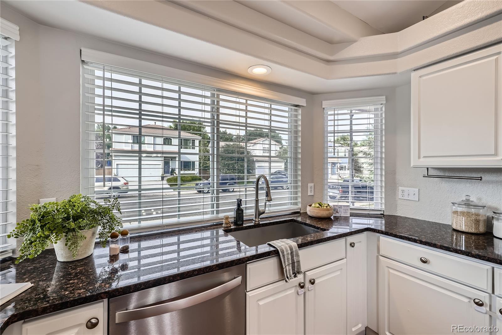 MLS Image #8 for 1552  spring water place,highlands ranch, Colorado