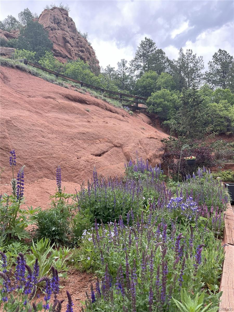 MLS Image #20 for 4941  red rock drive,larkspur, Colorado