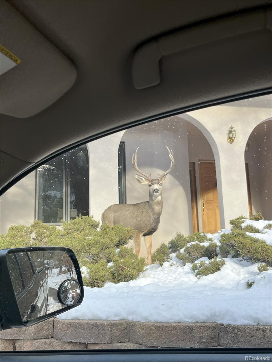 MLS Image #31 for 4941  red rock drive,larkspur, Colorado