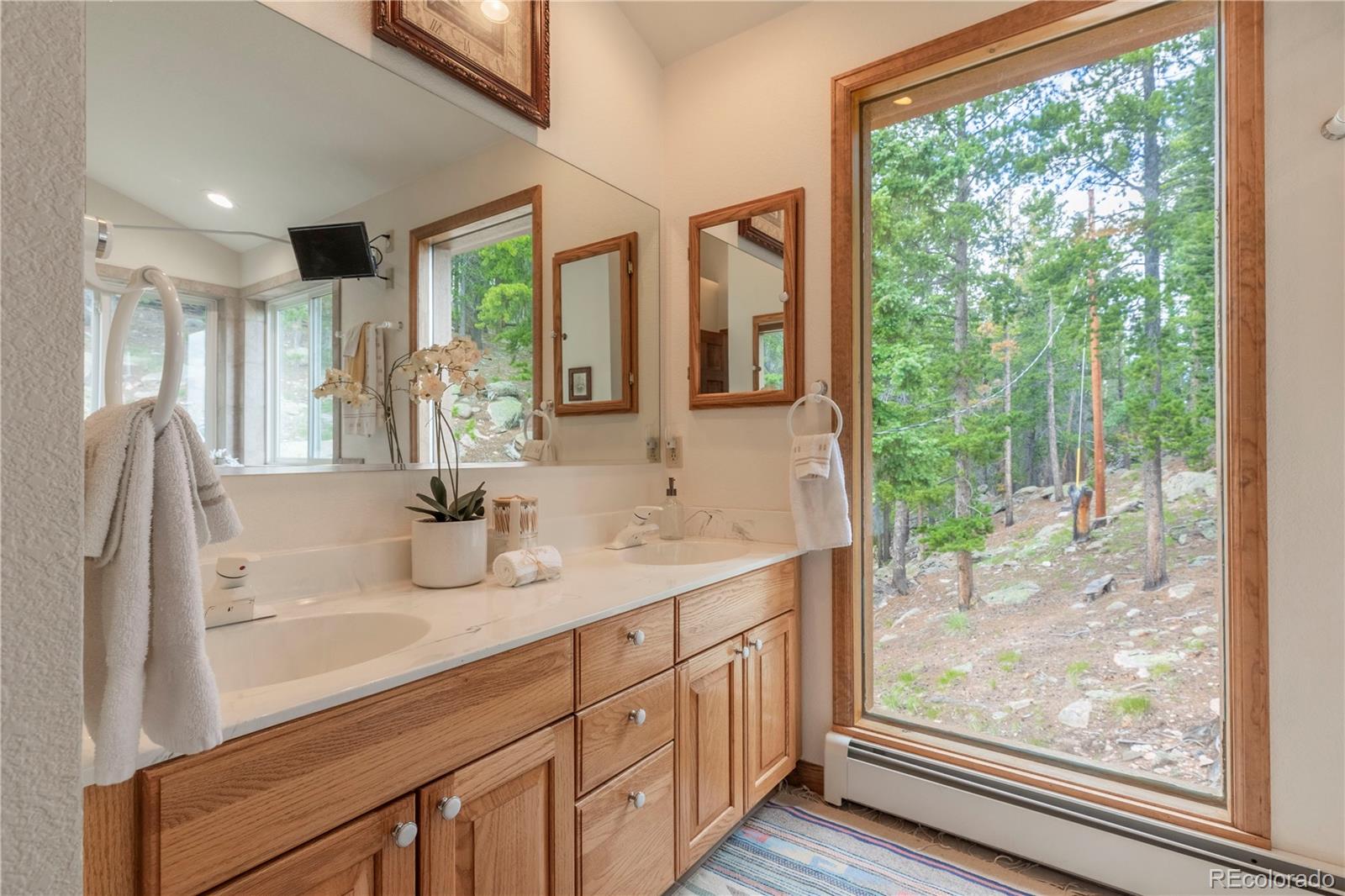 MLS Image #24 for 31320  timothys trail,conifer, Colorado