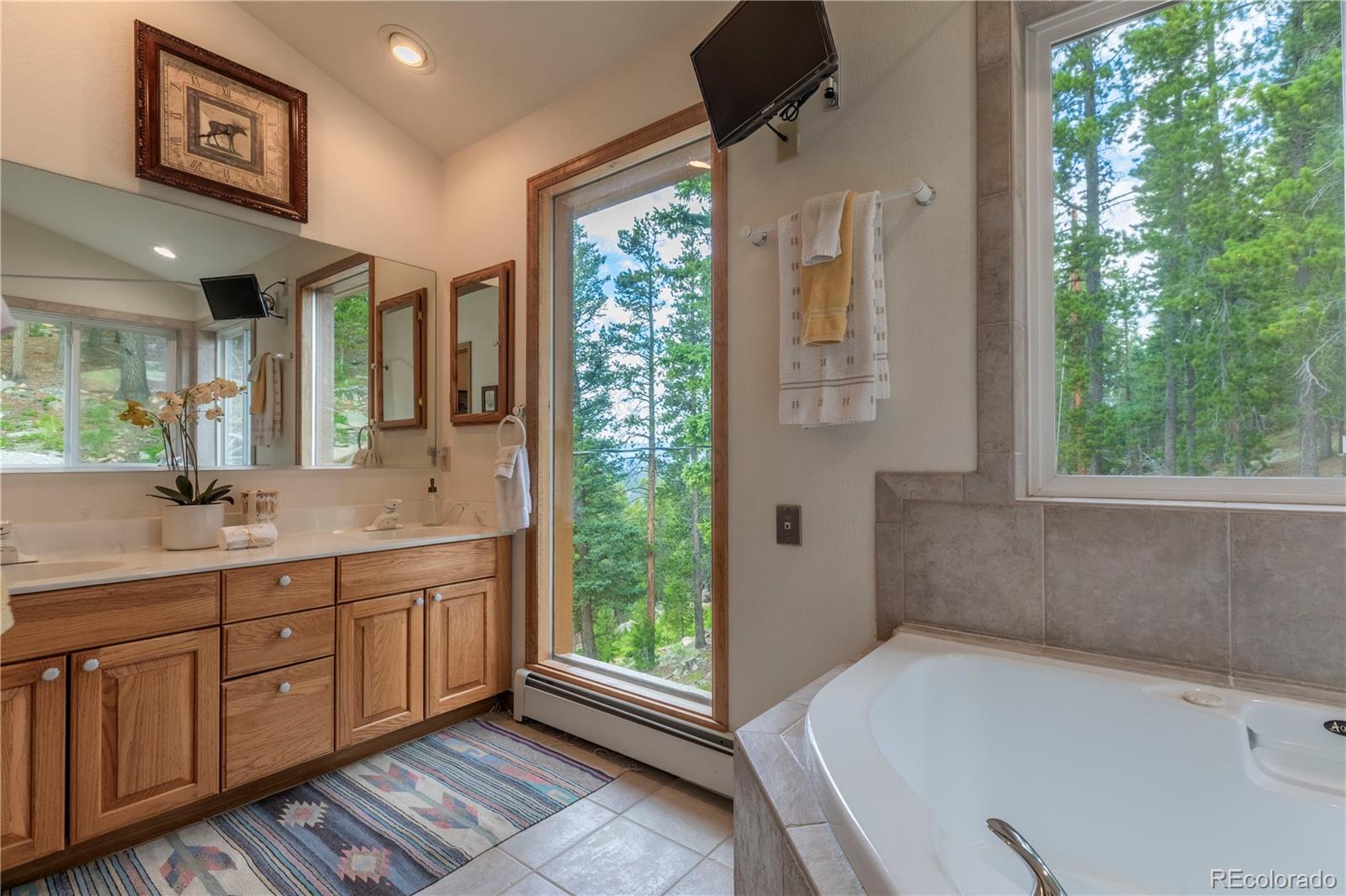 MLS Image #26 for 31320  timothys trail,conifer, Colorado