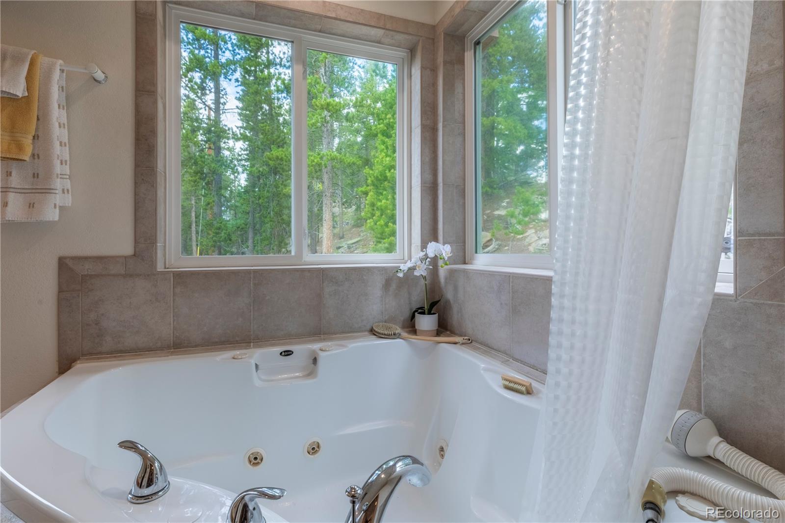 MLS Image #27 for 31320  timothys trail,conifer, Colorado