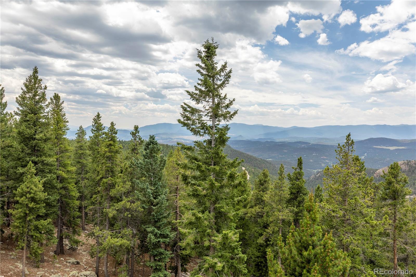 MLS Image #37 for 31320  timothys trail,conifer, Colorado