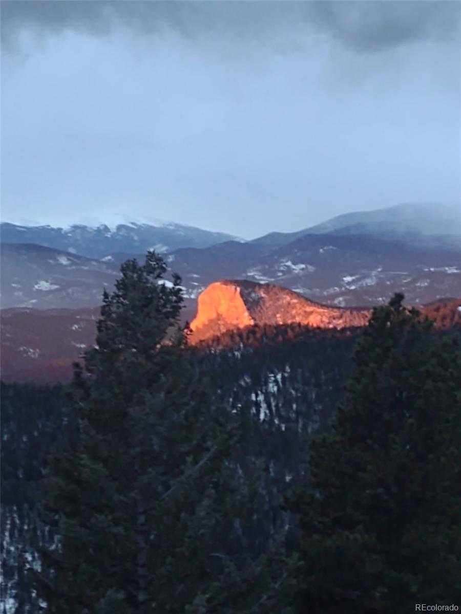 MLS Image #42 for 31320  timothys trail,conifer, Colorado