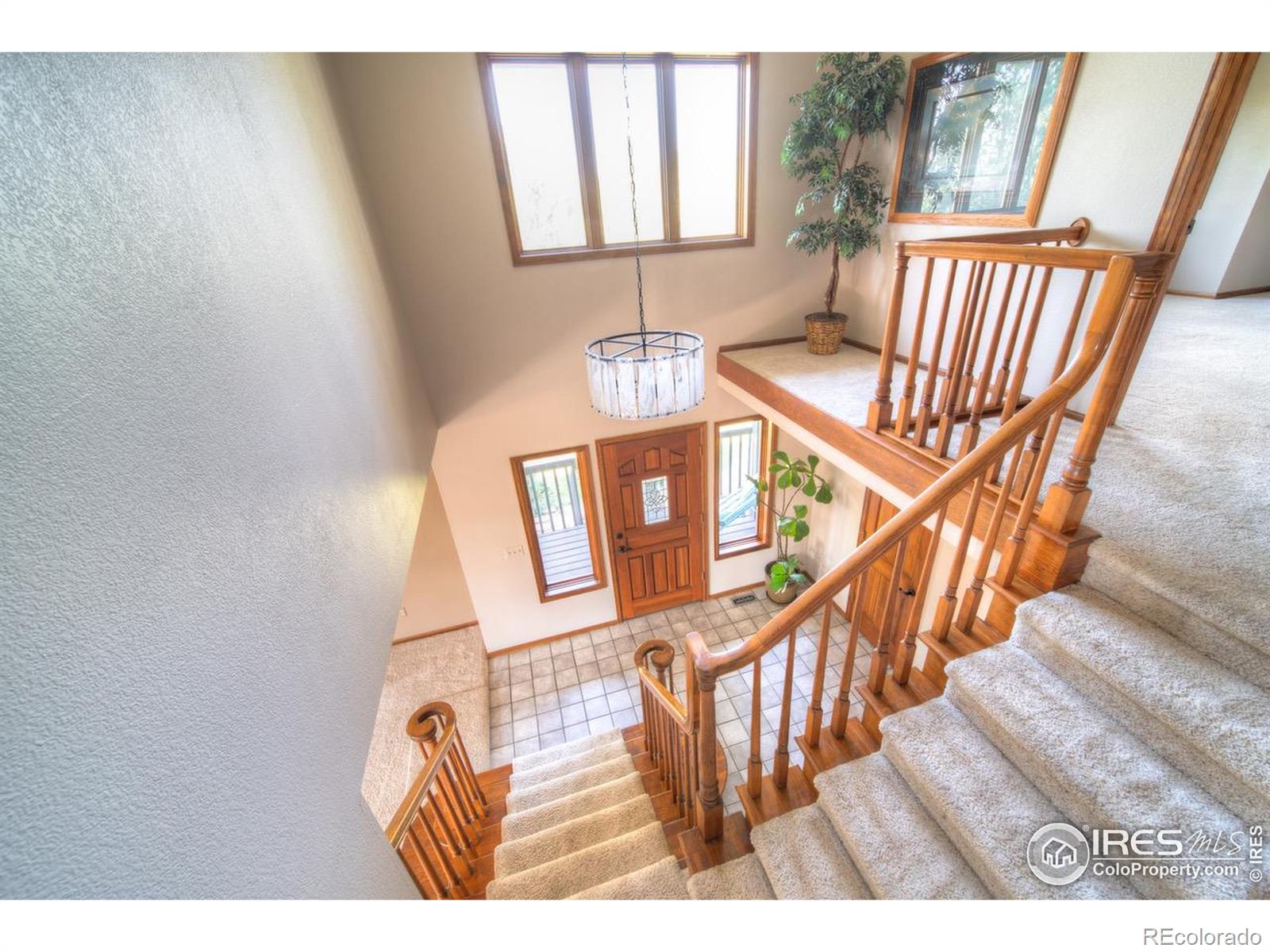 MLS Image #11 for 9020  rogers road,longmont, Colorado