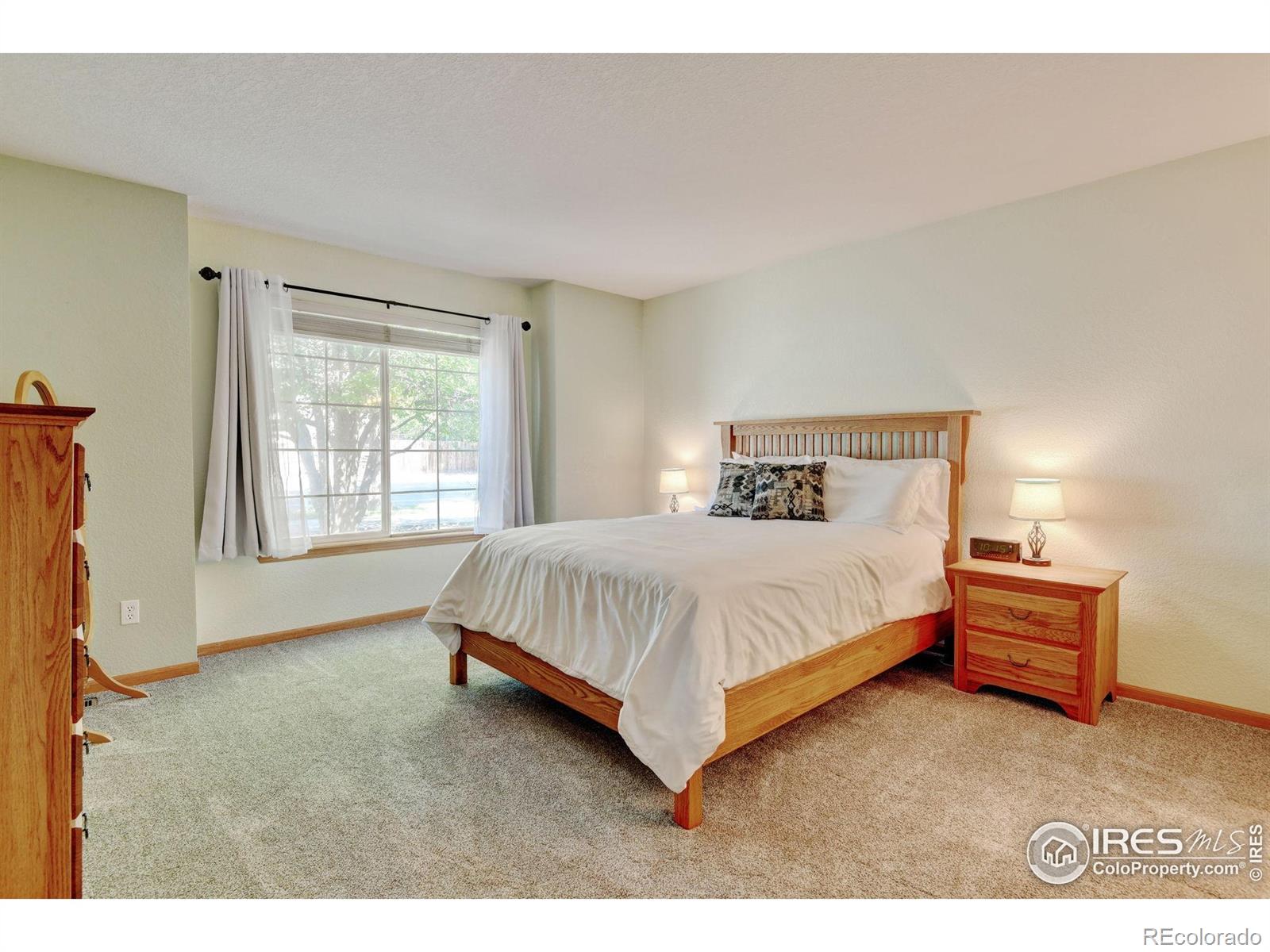 MLS Image #19 for 4500  seneca street,fort collins, Colorado
