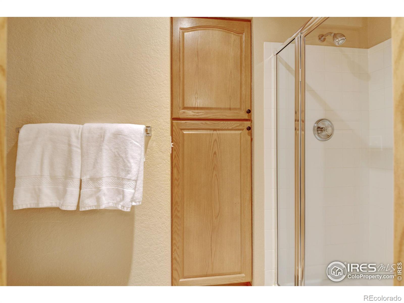 MLS Image #21 for 4500  seneca street,fort collins, Colorado