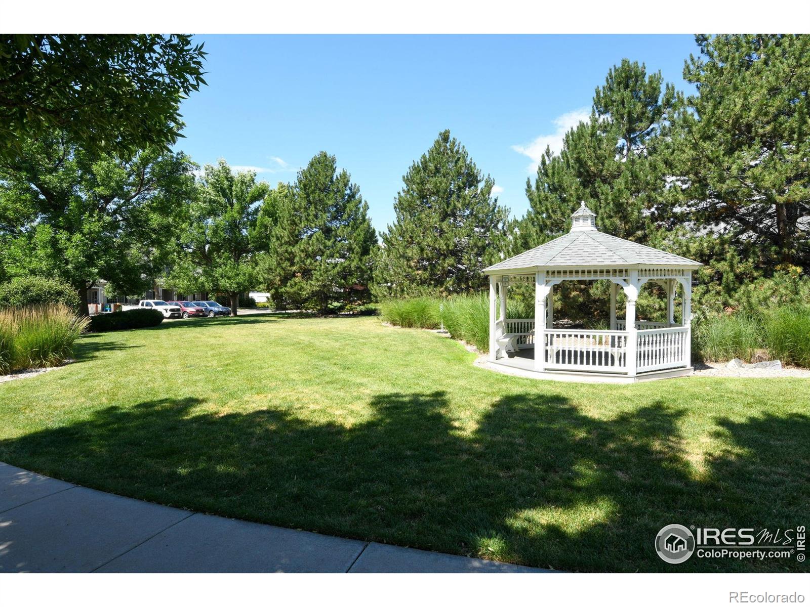 MLS Image #38 for 4500  seneca street,fort collins, Colorado