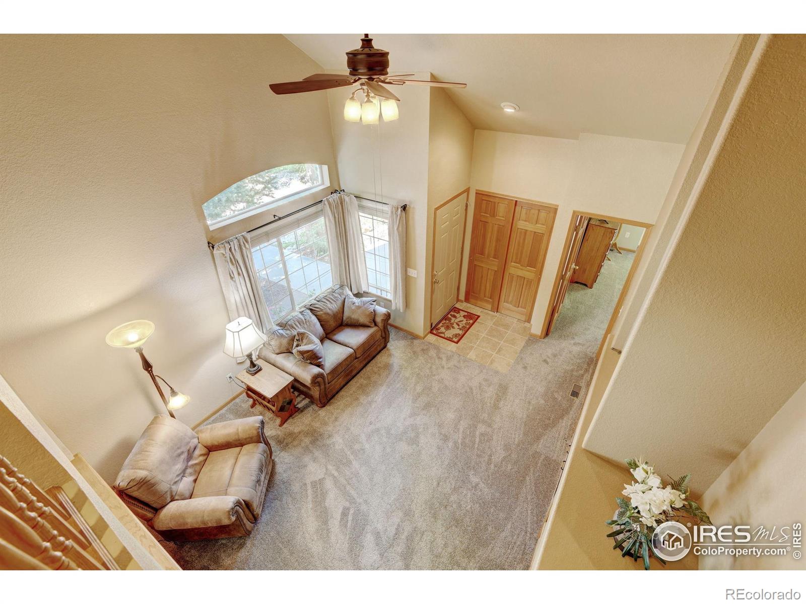 MLS Image #6 for 4500  seneca street,fort collins, Colorado