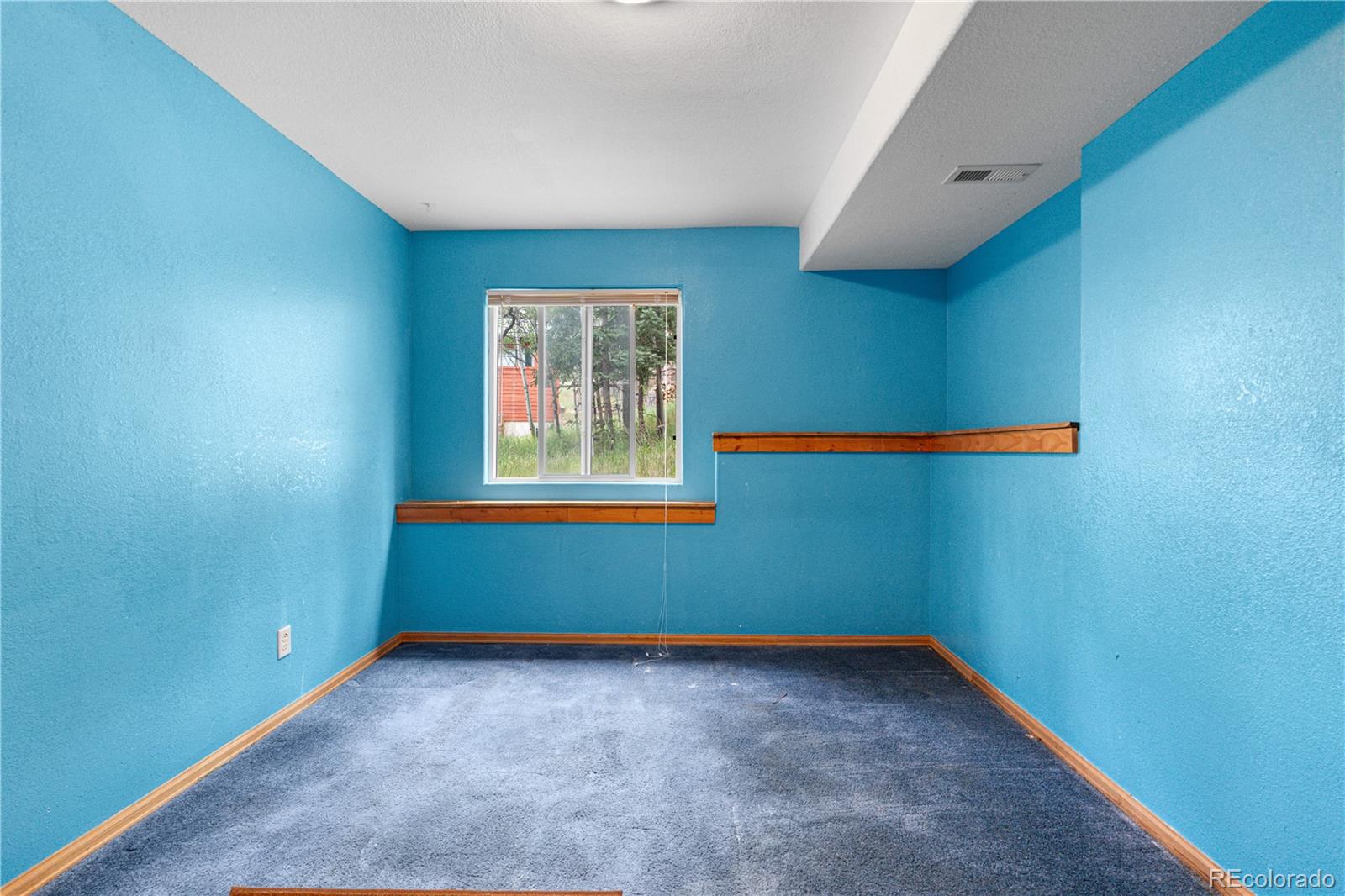 MLS Image #10 for 690 s pine drive,bailey, Colorado