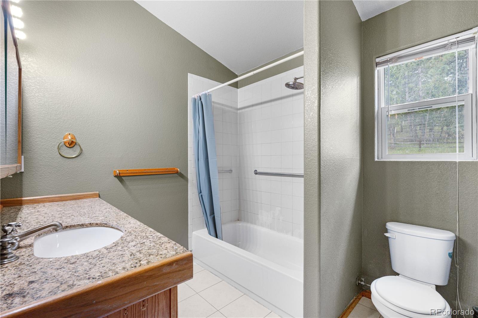 MLS Image #16 for 690 s pine drive,bailey, Colorado