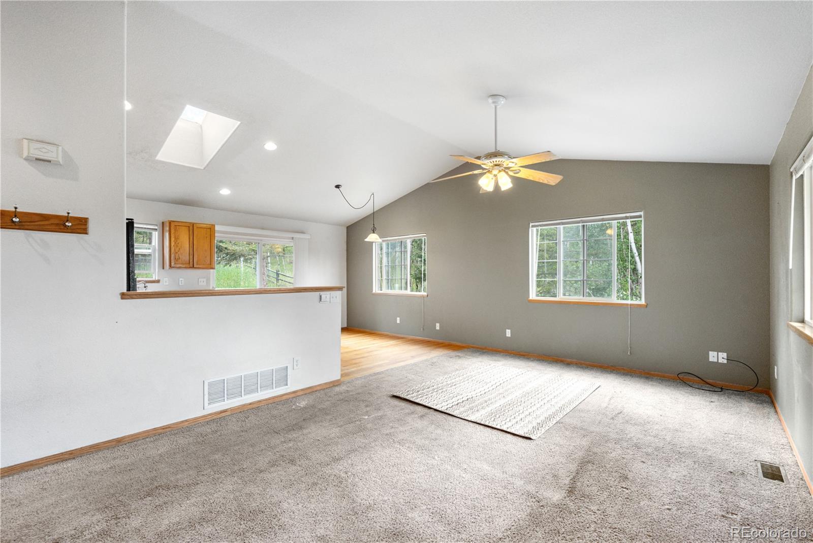 MLS Image #20 for 690 s pine drive,bailey, Colorado