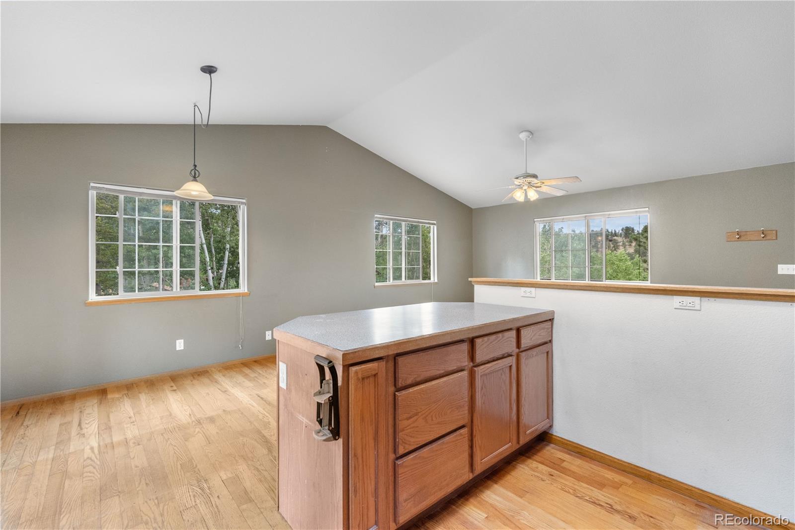 MLS Image #24 for 690 s pine drive,bailey, Colorado