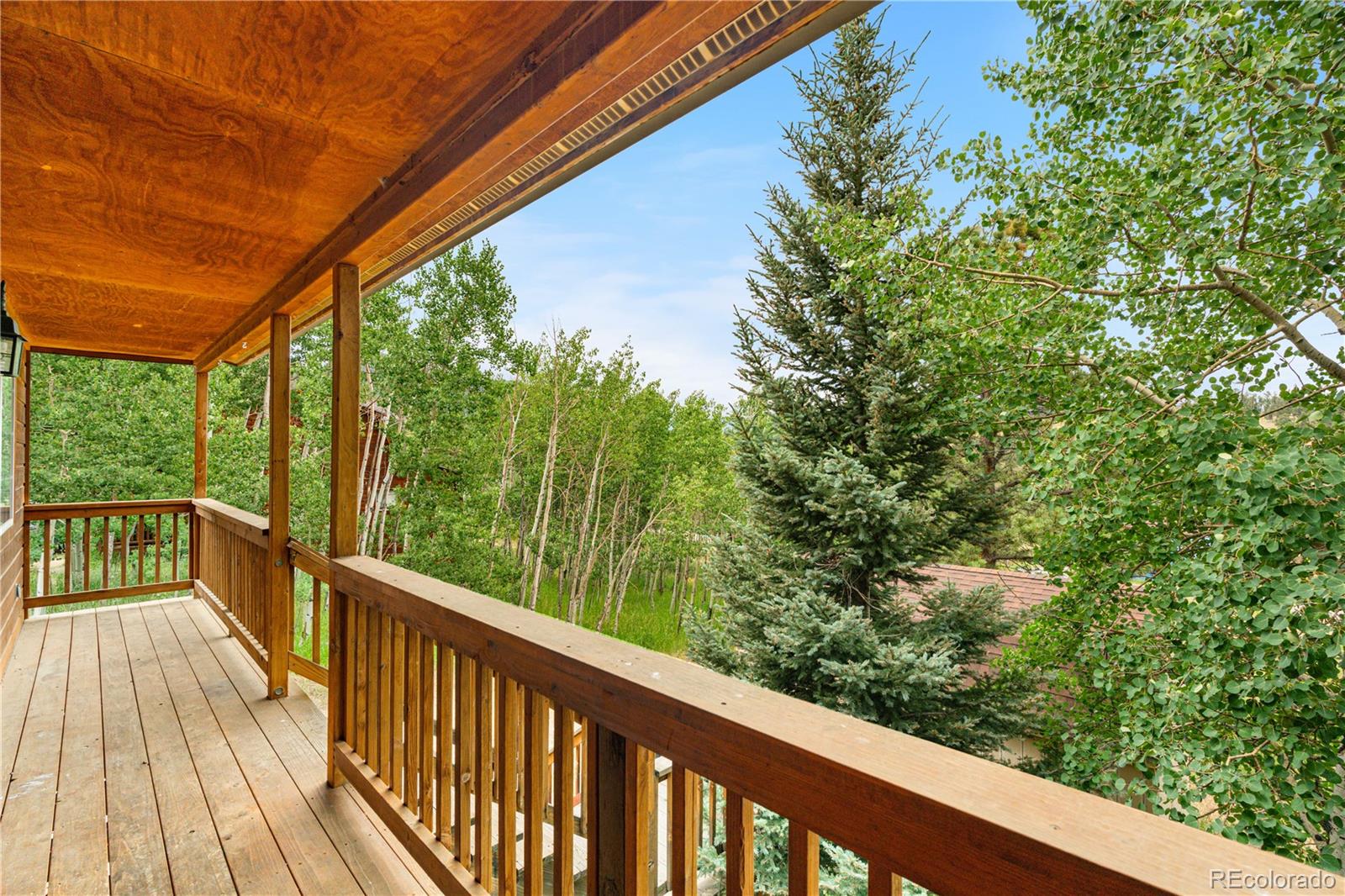 MLS Image #28 for 690 s pine drive,bailey, Colorado