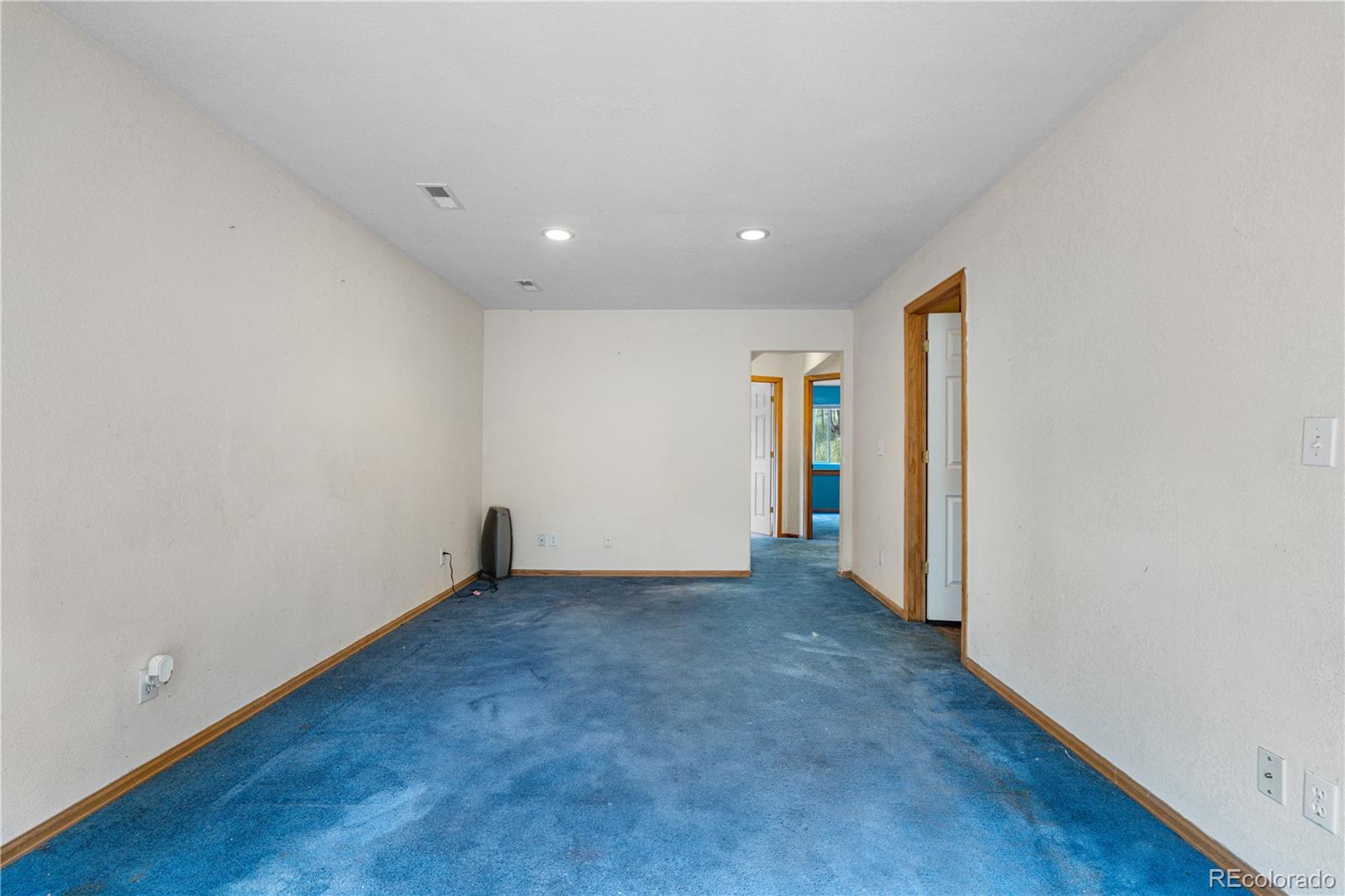 MLS Image #7 for 690 s pine drive,bailey, Colorado