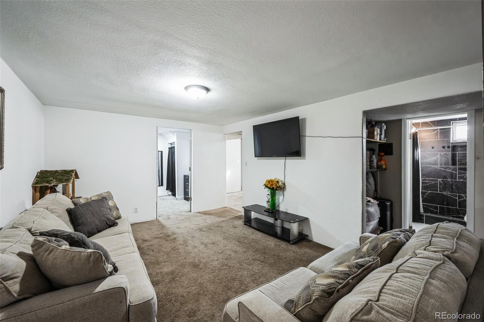 MLS Image #16 for 327 n 12th avenue,brighton, Colorado
