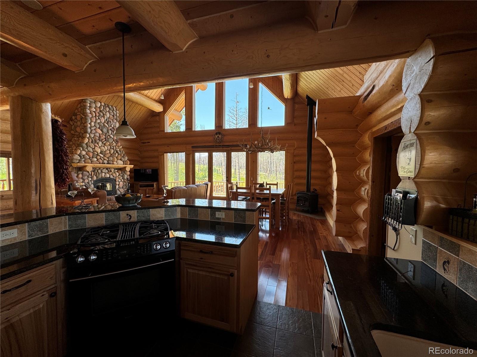 MLS Image #14 for 2255-2256  port loop,fort garland, Colorado