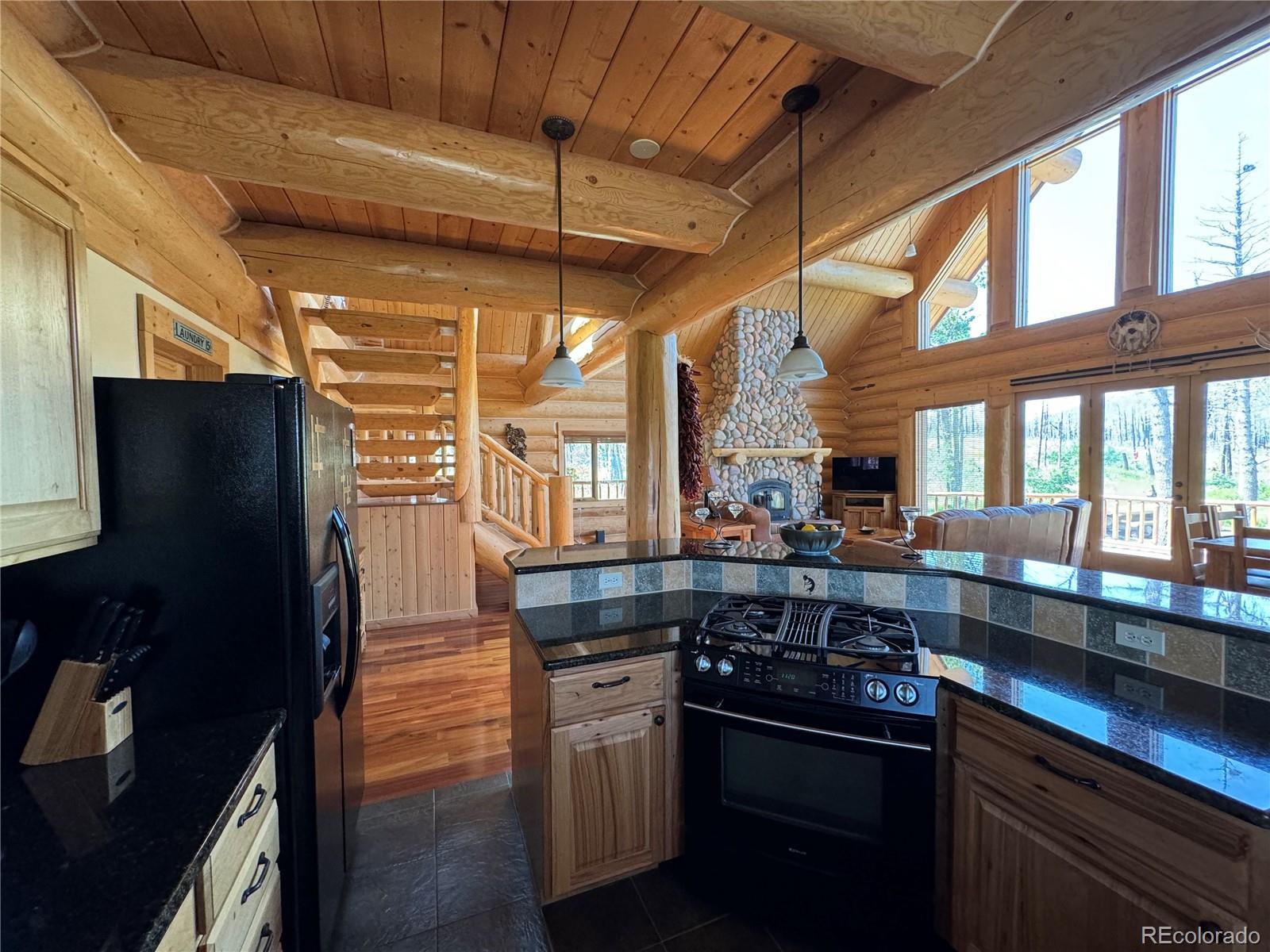 MLS Image #18 for 2255-2256  port loop,fort garland, Colorado