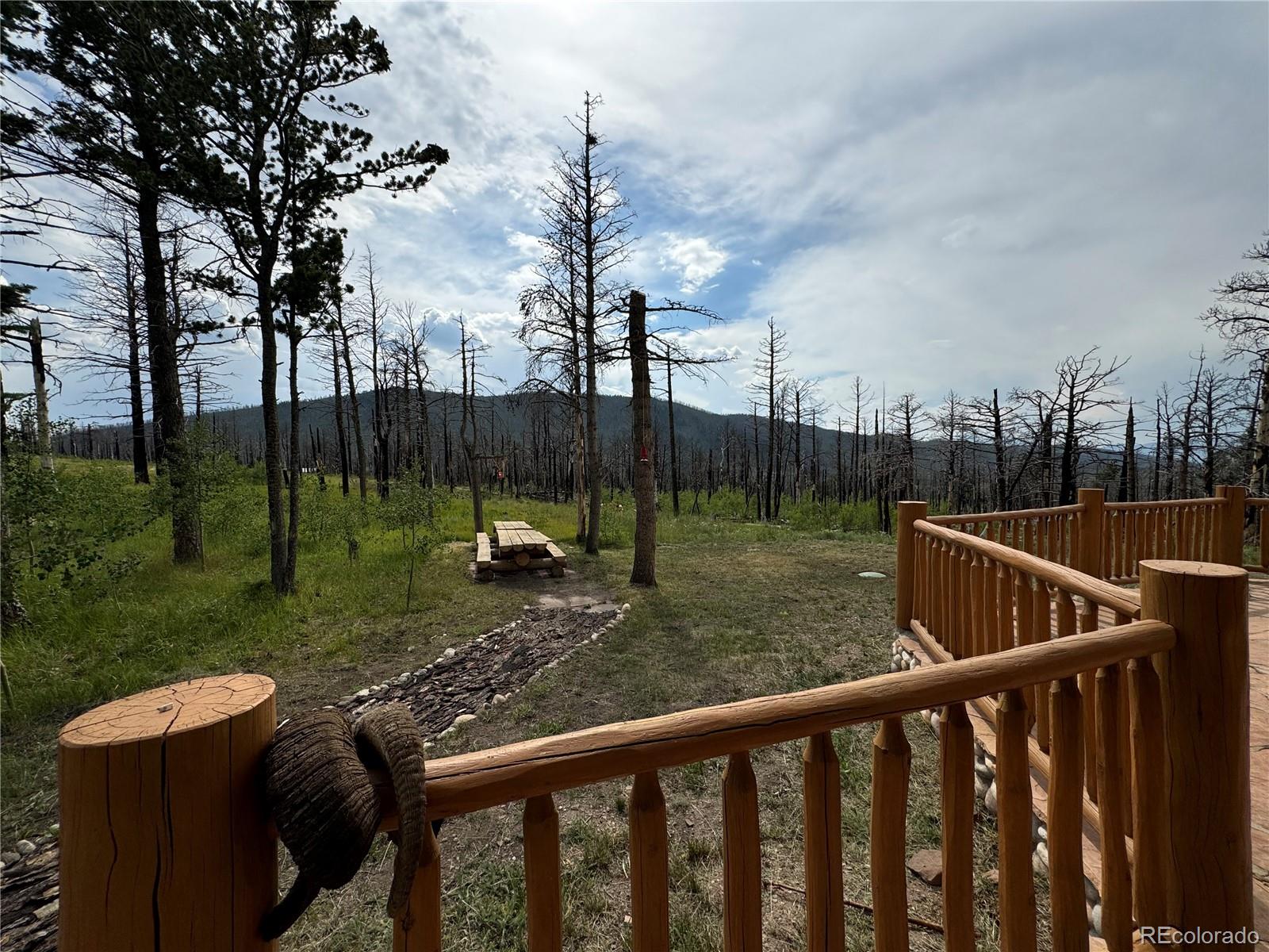 MLS Image #40 for 2255-2256  port loop,fort garland, Colorado