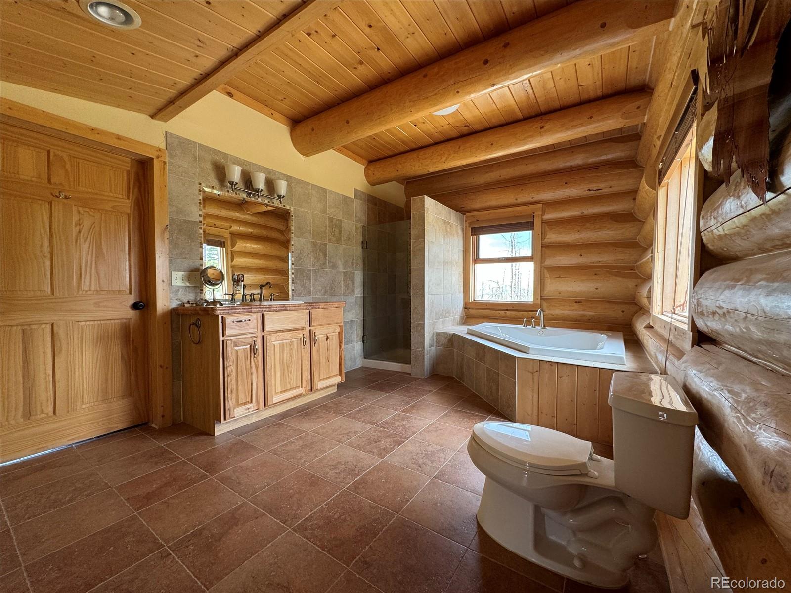 MLS Image #5 for 2255-2256  port loop,fort garland, Colorado