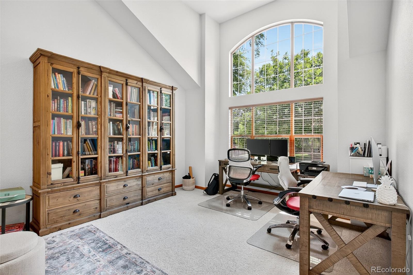 MLS Image #3 for 1  amaranth drive,littleton, Colorado