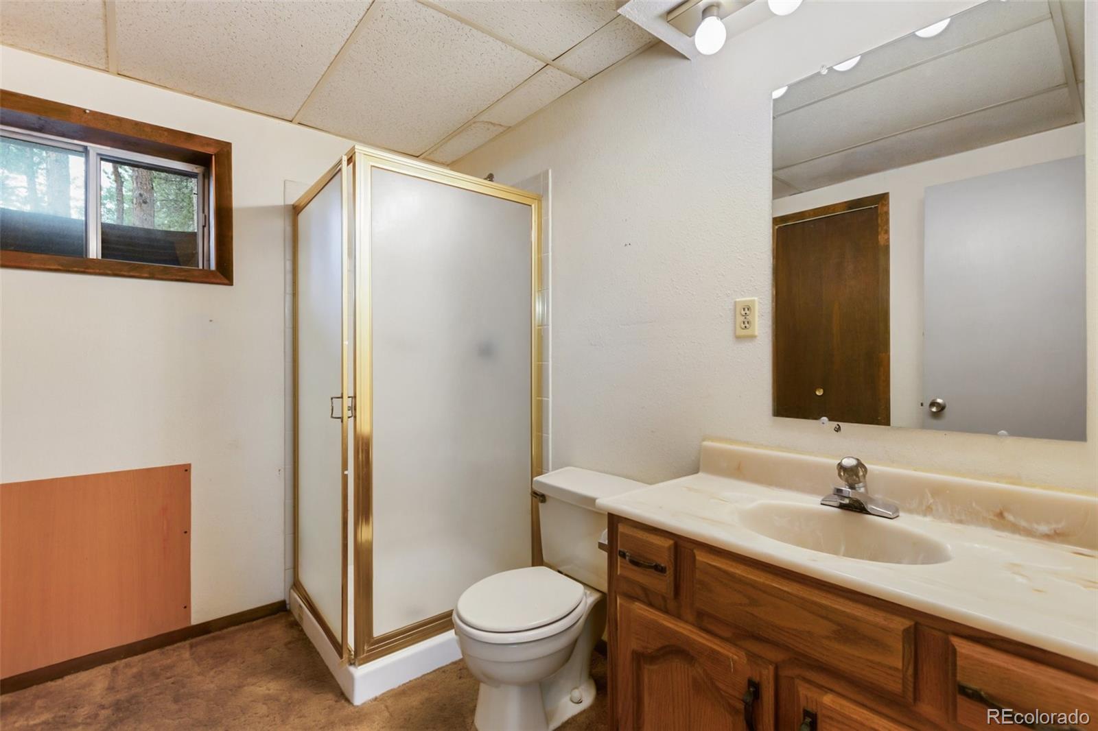 MLS Image #29 for 1343  terri lane,woodland park, Colorado