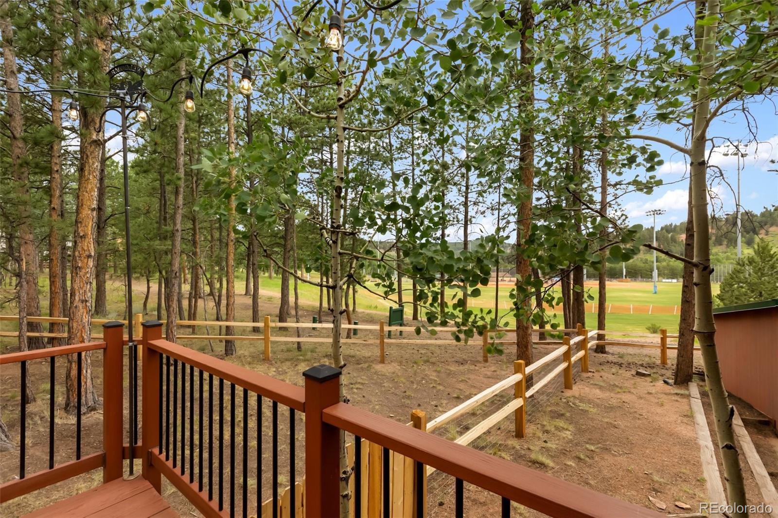 MLS Image #5 for 1343  terri lane,woodland park, Colorado