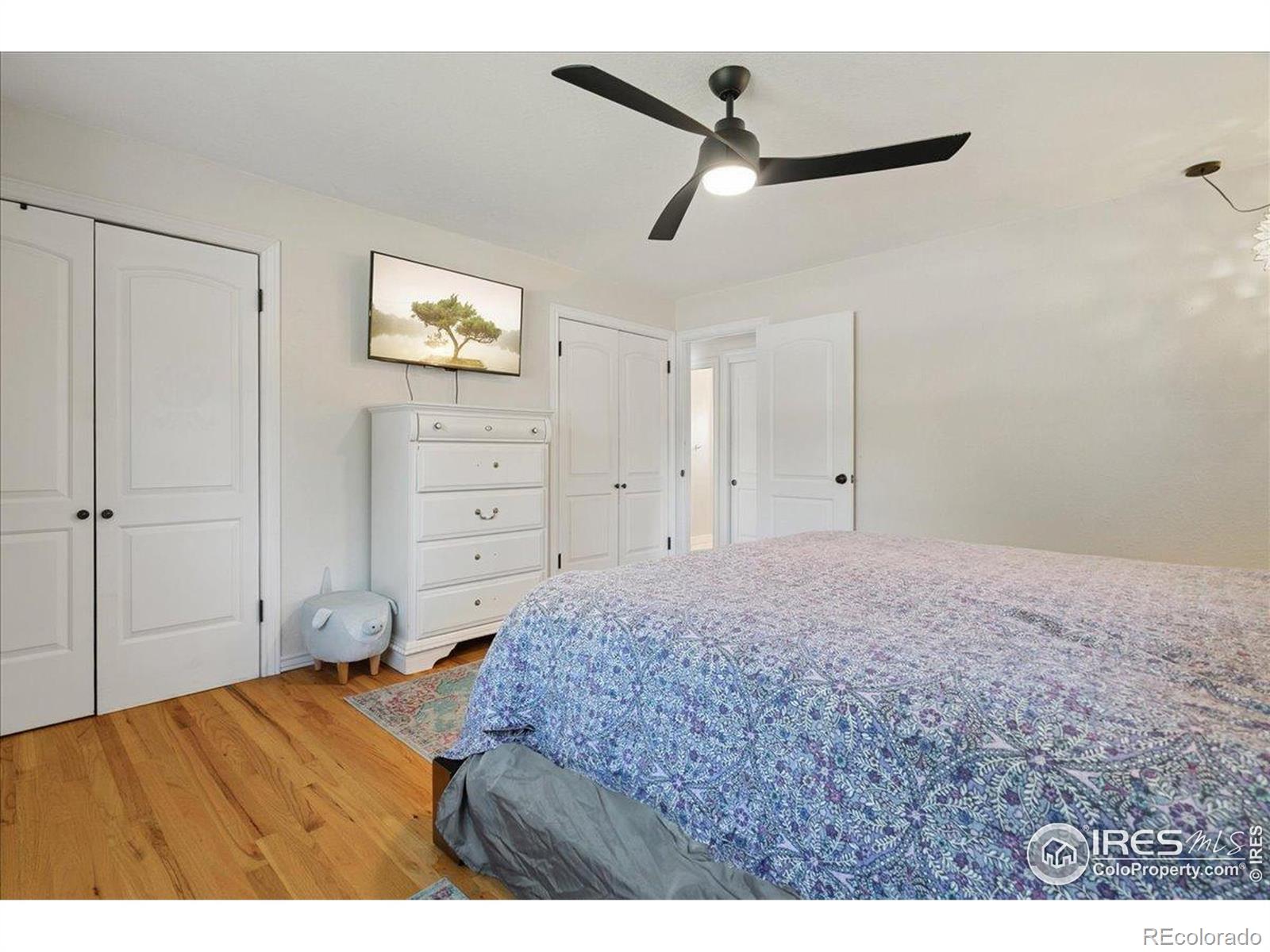 MLS Image #11 for 2922  alamosa court,loveland, Colorado