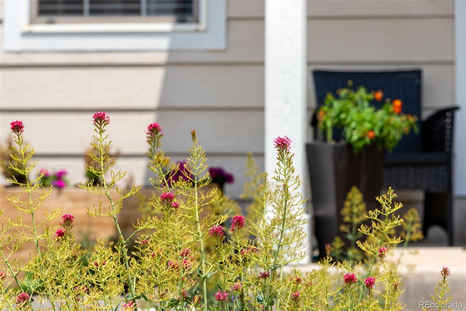 MLS Image #34 for 5466 s shawnee way,aurora, Colorado