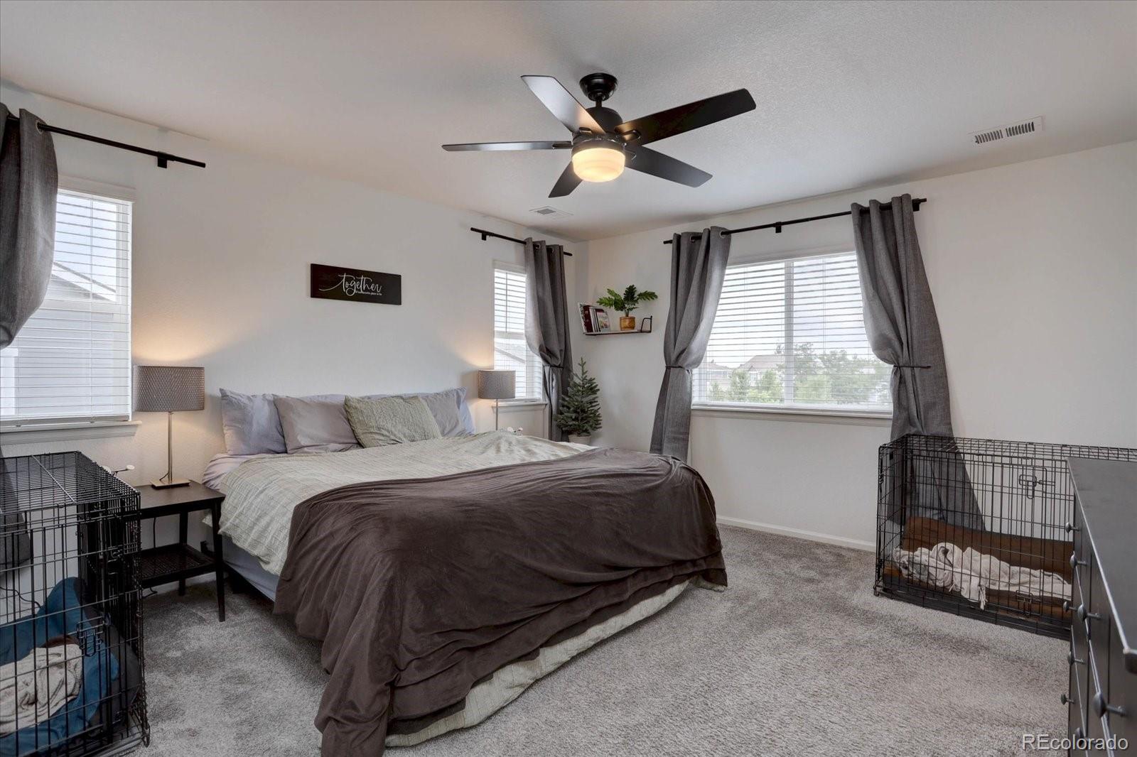 MLS Image #17 for 392  vista cliff court,castle rock, Colorado