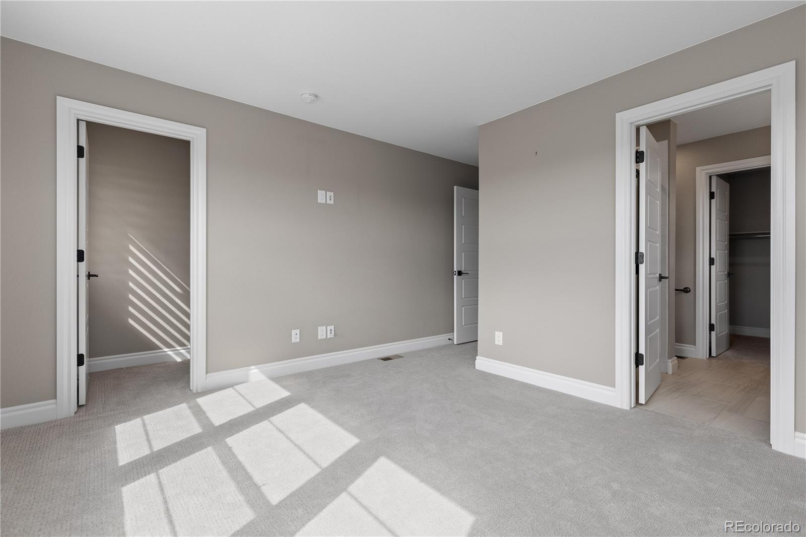 MLS Image #16 for 4425  cyan circle,castle rock, Colorado