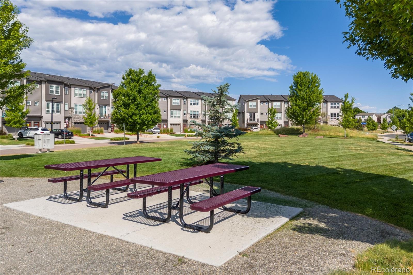 MLS Image #31 for 4425  cyan circle,castle rock, Colorado