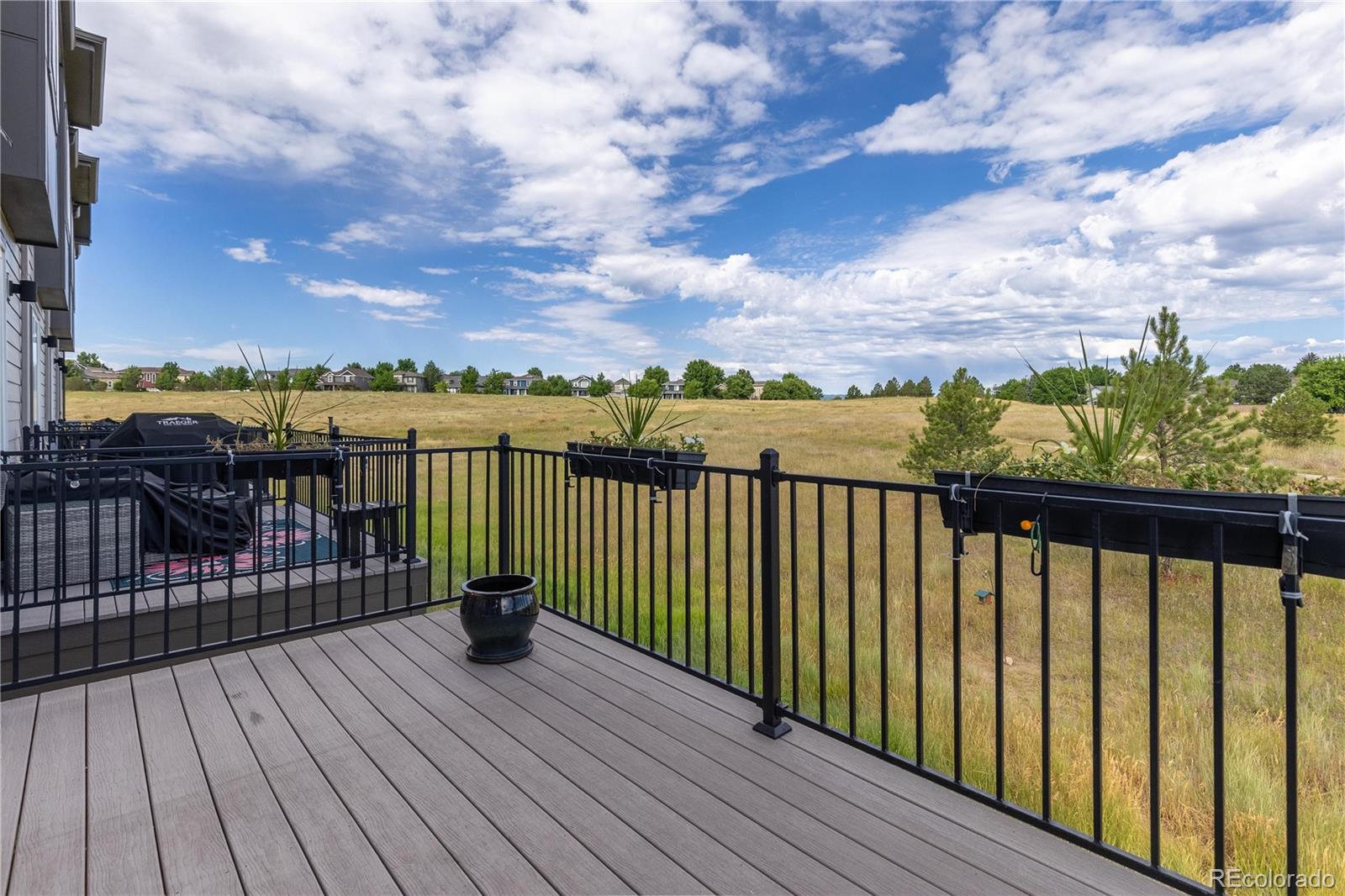 MLS Image #6 for 4425  cyan circle,castle rock, Colorado