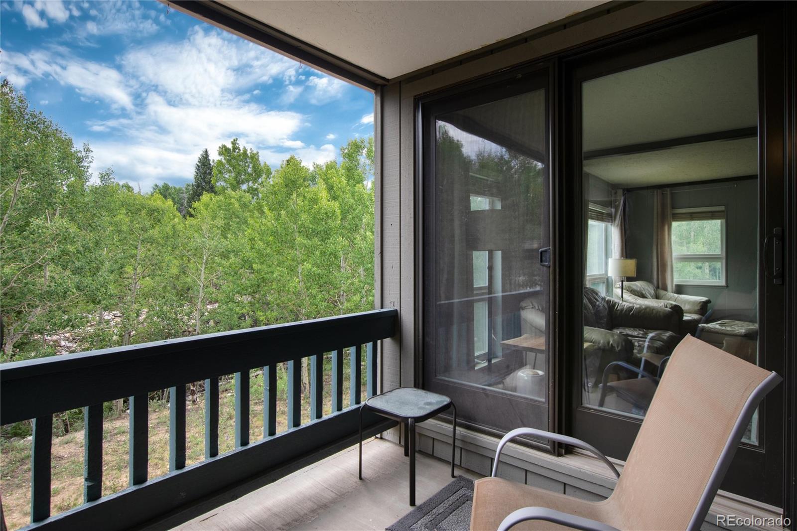 MLS Image #1 for 101  ryan gulch court,silverthorne, Colorado